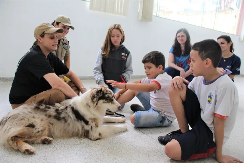 Cão terapeuta visita rede municipal de educação de Apucarana