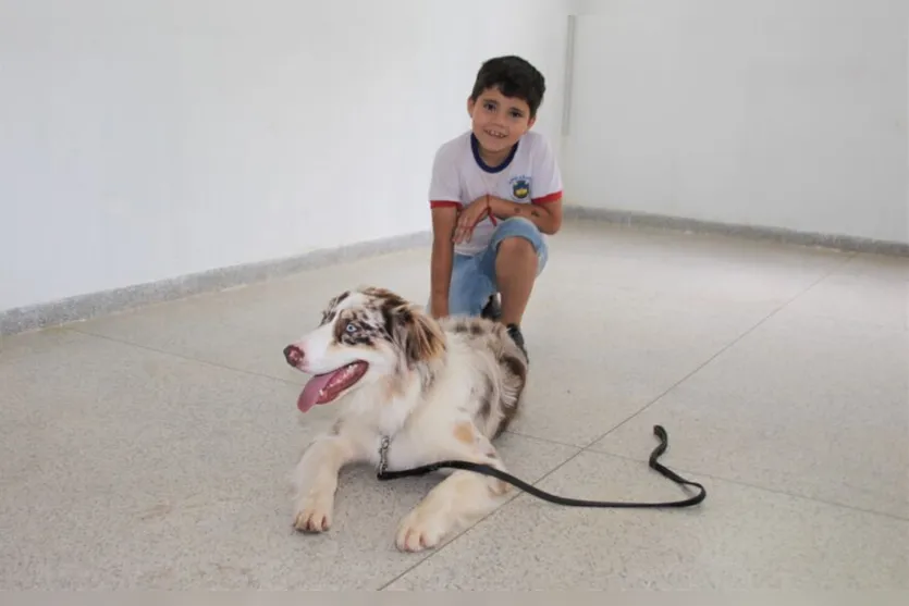 Cão terapeuta visita rede municipal de educação de Apucarana