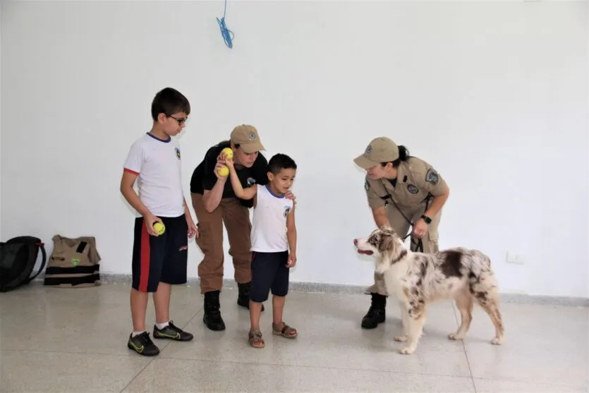 Cão terapeuta visita rede municipal de educação de Apucarana