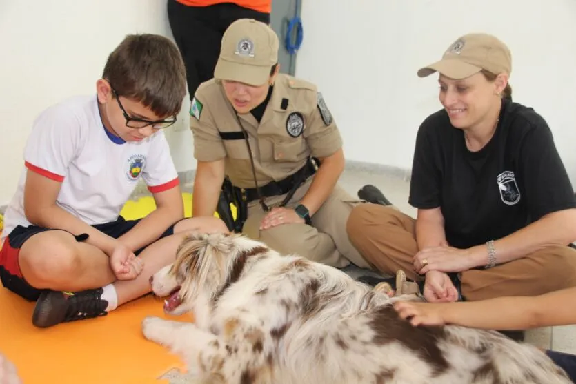 Cão terapeuta visita rede municipal de educação de Apucarana