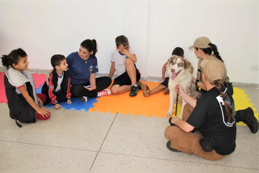 Cão terapeuta visita rede municipal de educação de Apucarana