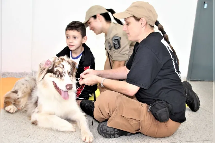 Cão terapeuta visita rede municipal de educação de Apucarana