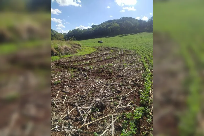  Carro foi abandonado em uma plantação de soja, às margens da PR-170 