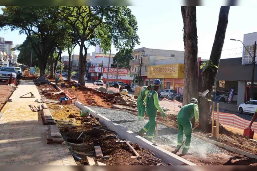  Ciclovias em construção no canteiro da Avenida Brasil 