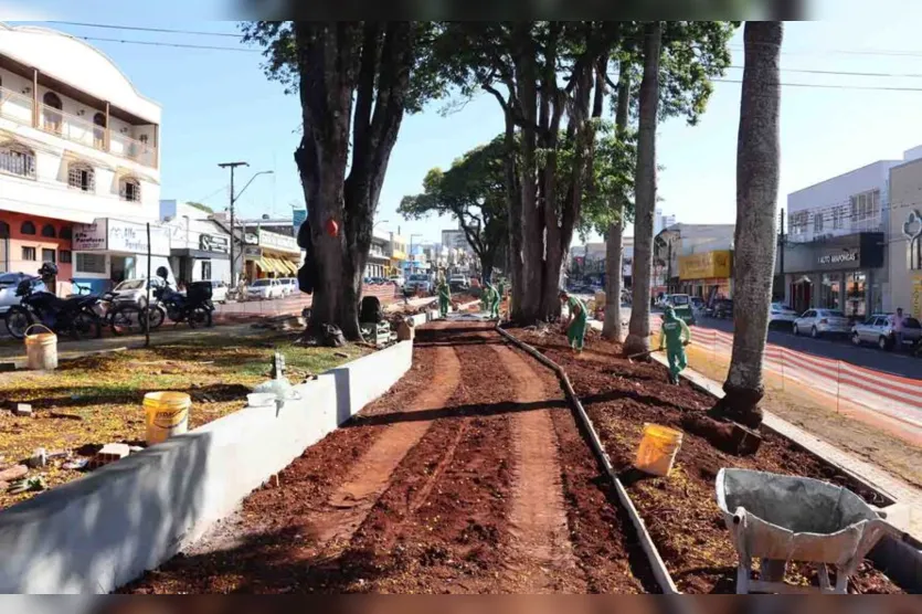  Ciclovias em construção no canteiro da Avenida Brasil 