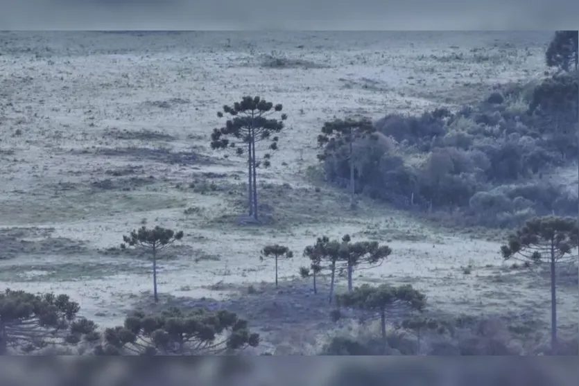  Em 2022, São Joaquim registrou 136 geadas, segundo o fotógrafo e morador da cidade Mycchel Legnagi 