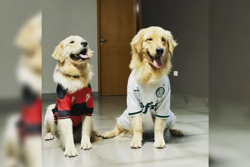  Em casa, Luck com a camisa do Palmeiras ao lado do irmão, com o uniforme do Flamengo 