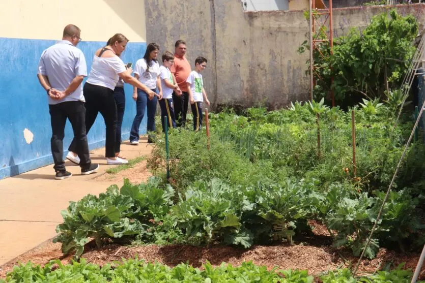 Escolas de Arapongas comemoram conquistas do projeto 'Horta do Futuro'