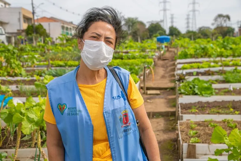  Hortas urbanas sob linhas de energia produzem toneladas de alimentos orgânicos no PR 