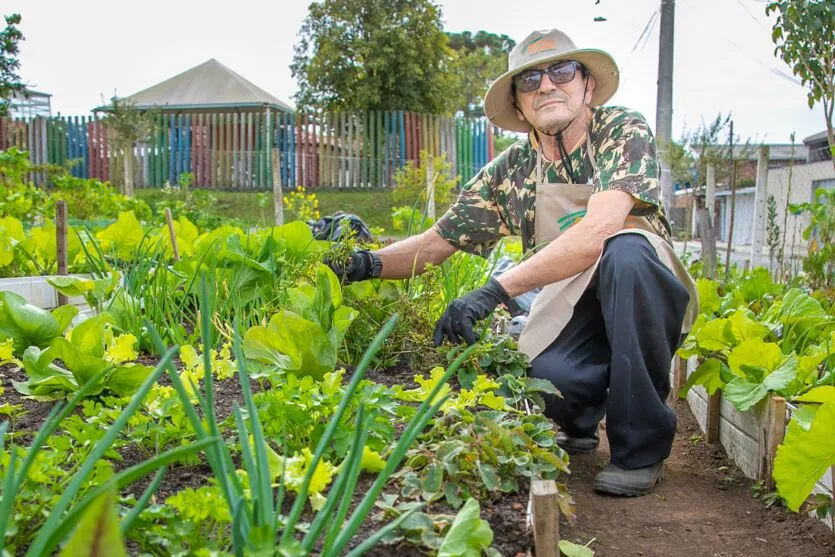  Hortas urbanas sob linhas de energia produzem toneladas de alimentos orgânicos no PR 