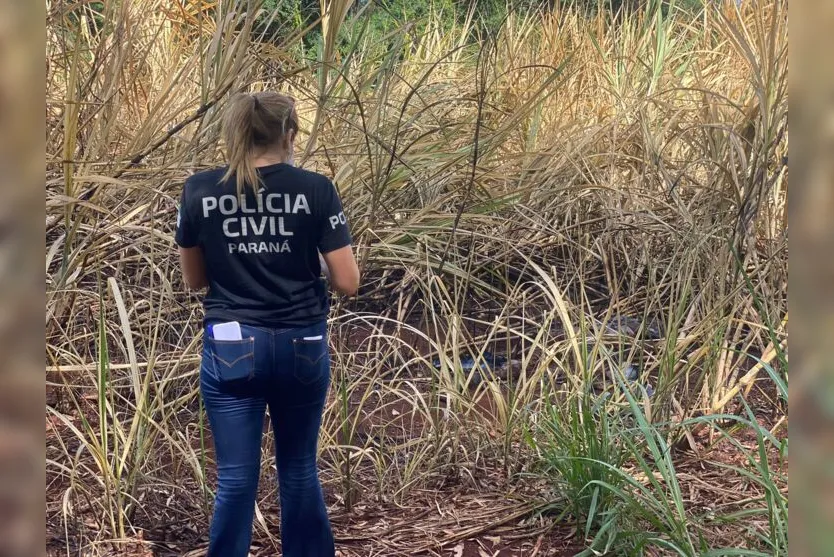  Investigadores da Polícia Civil de Apucarana foram até o local 