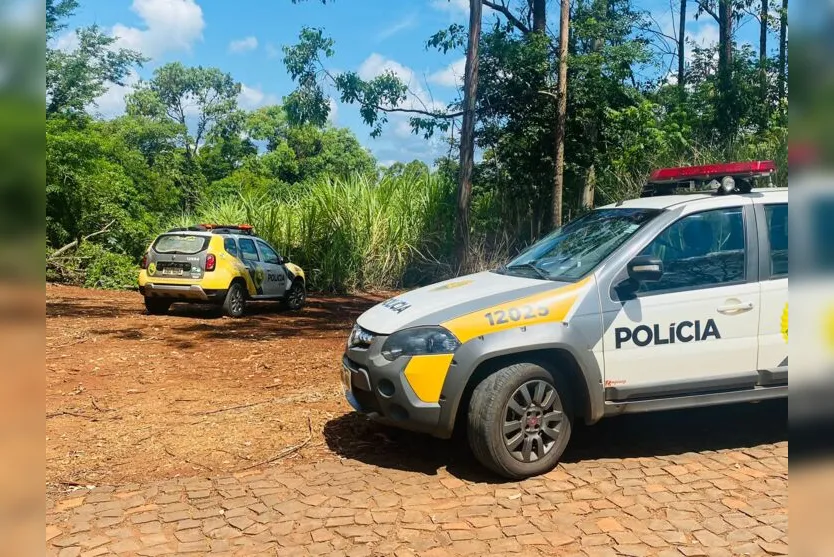  Investigadores da Polícia Civil de Apucarana foram até o local 