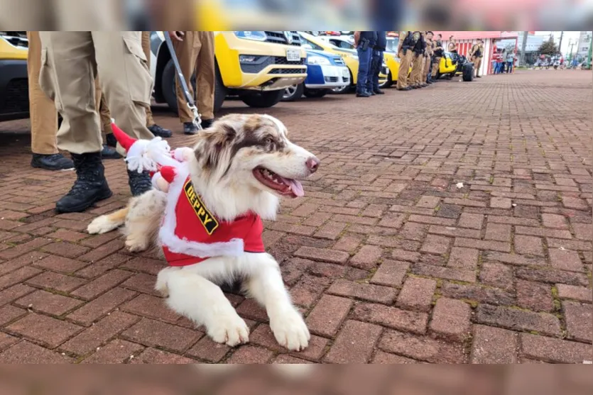  Na manhã desta quarta-feira (07), o 10° Batalhão de Polícia Militar realizou o lançamento da “Operação Natal 2022”, na Praça Rui Barbosa, 