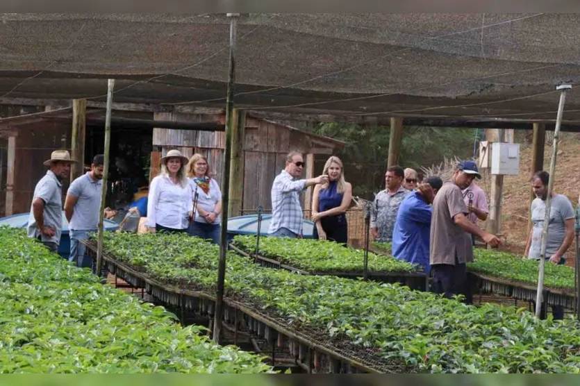  Os dados foram divulgados pelo Departamento de Economia Rural (Deral) da Secretaria de Estado da Agricultura e Abastecimento 