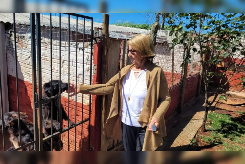  Aos 82 anos, Júlia Bortolassi dedica boa parte do dia para cuidar de 40 cães em uma chácara 