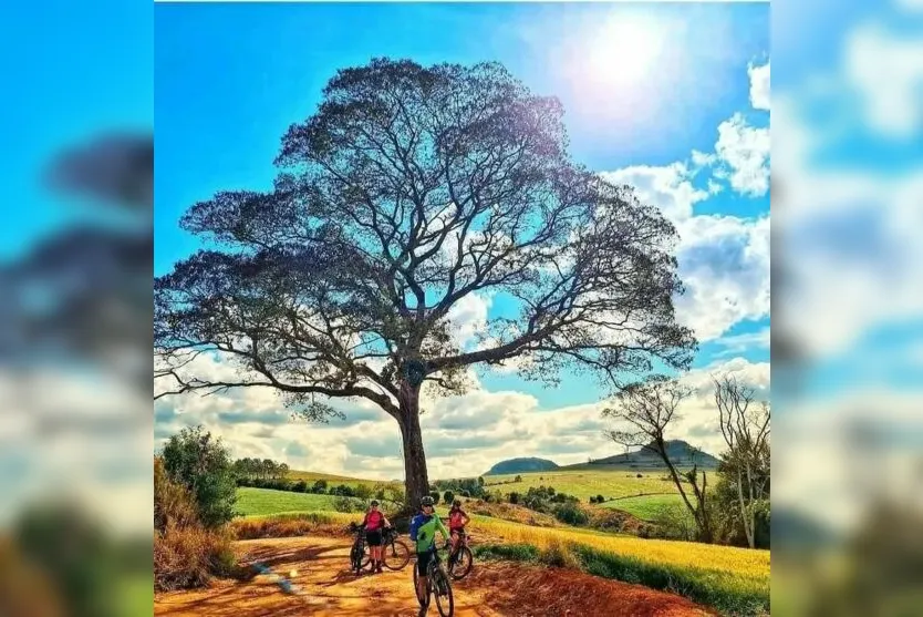  Árvore da vida: instagramável 