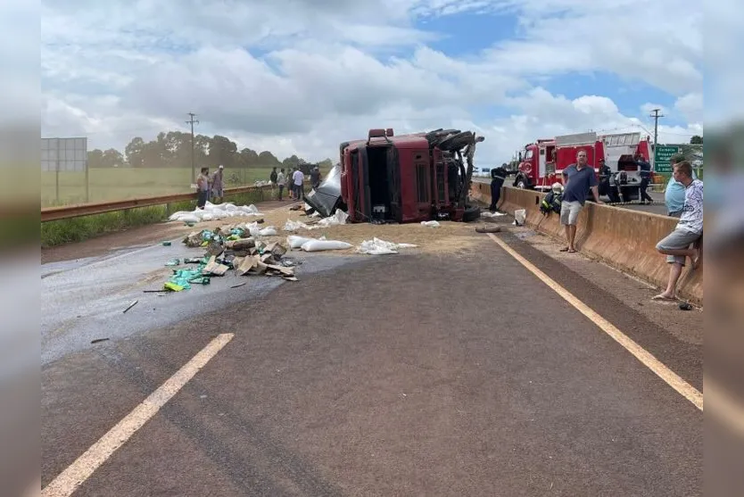 Cavalo na pista causa acidente com oito veículos na BR-369; saiba mais