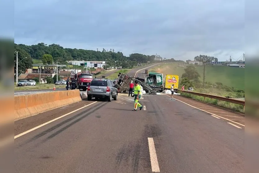 Cavalo na pista causa acidente com oito veículos na BR-369; saiba mais