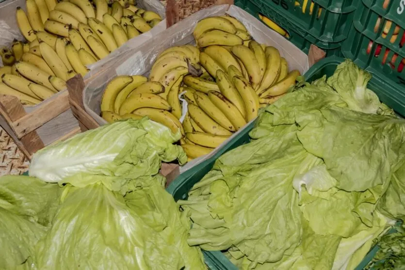 Feira Verde retorna nesta terça-feira no João Gourlart e Vila Nova