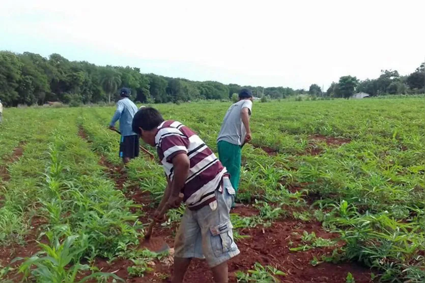  Financiamentos beneficiaram a 2.075 projetos em diversas atividades do setor agropecuário no estado 