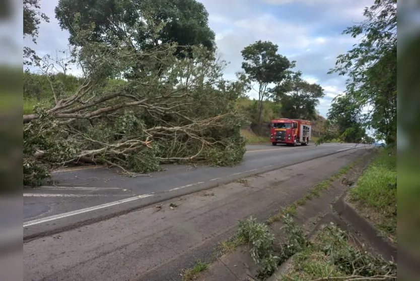  Os bloqueios foram registrados logo após a invasão ocorrida em Brasília, Distrito Federal 