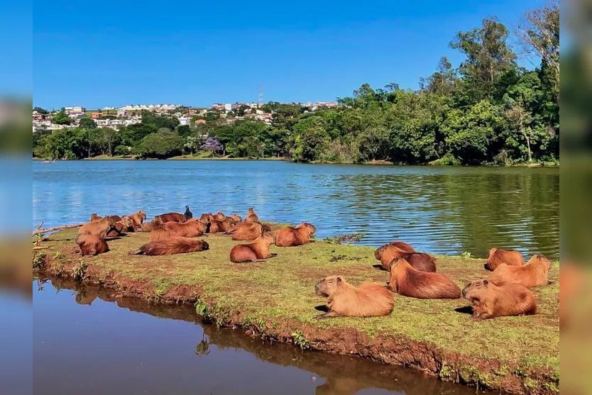  Programa é o principal responsável pelos avanços que têm colocado o município em referência no segmento 