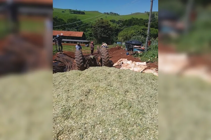  O agricultor realizava um trabalho de silagem 