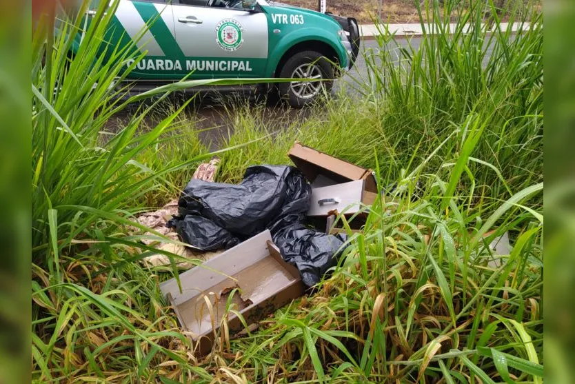  A equipe recebeu denúncias sobre o descarte ilegal de resíduos 