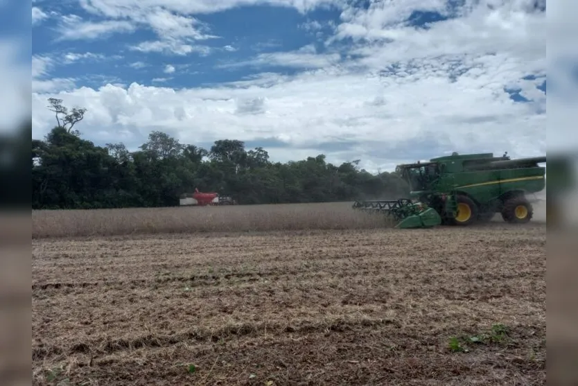  Agricultores estão acelerando o trabalho porque previsão é de volta da chuva 