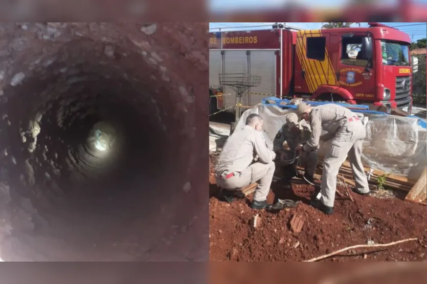 Cachorro é resgatado por bombeiros após cair em buraco de obra