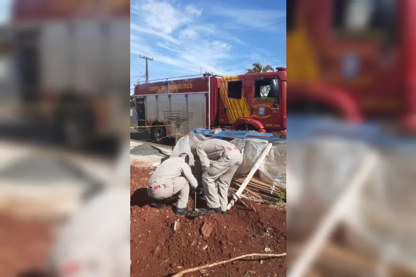Cachorro é resgatado por bombeiros após cair em buraco de obra