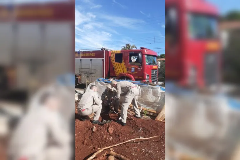 Cachorro é resgatado por bombeiros após cair em buraco de obra