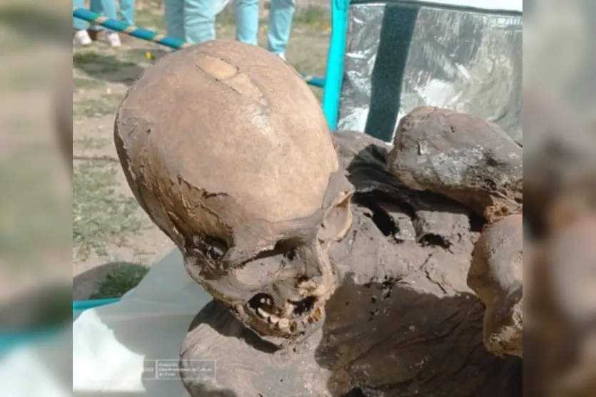 Múmia achada na mochila térmica de entregador tinha mais de 600 anos
