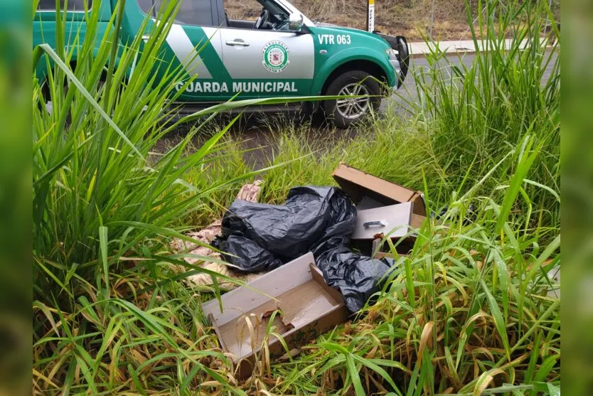  Os objetos foram deixados em um fundo de vale, na região do Jardim Imperial 