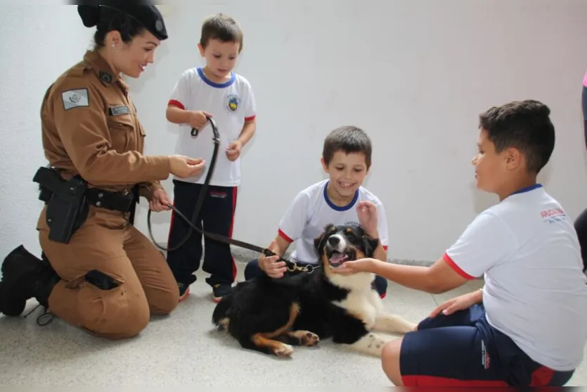 Projeto 'Cão Amigo' chega à rede municipal de educação de Apucarana