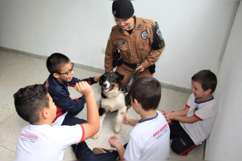Projeto 'Cão Amigo' chega à rede municipal de educação de Apucarana