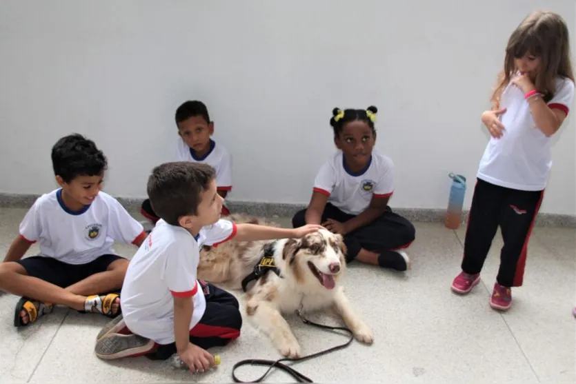 Projeto 'Cão Amigo' chega à rede municipal de educação de Apucarana