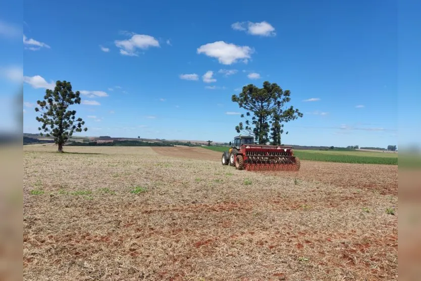  Área semeada com trigo na regional da Seab de Ivaiporã deve alcançar  68 mil  hectares 