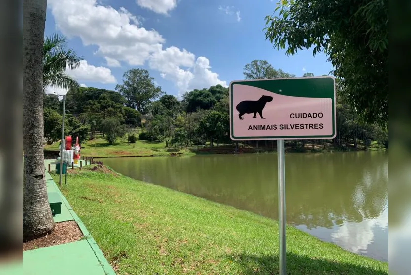 Placas de cuidado com capivaras são instaladas no Jaboti