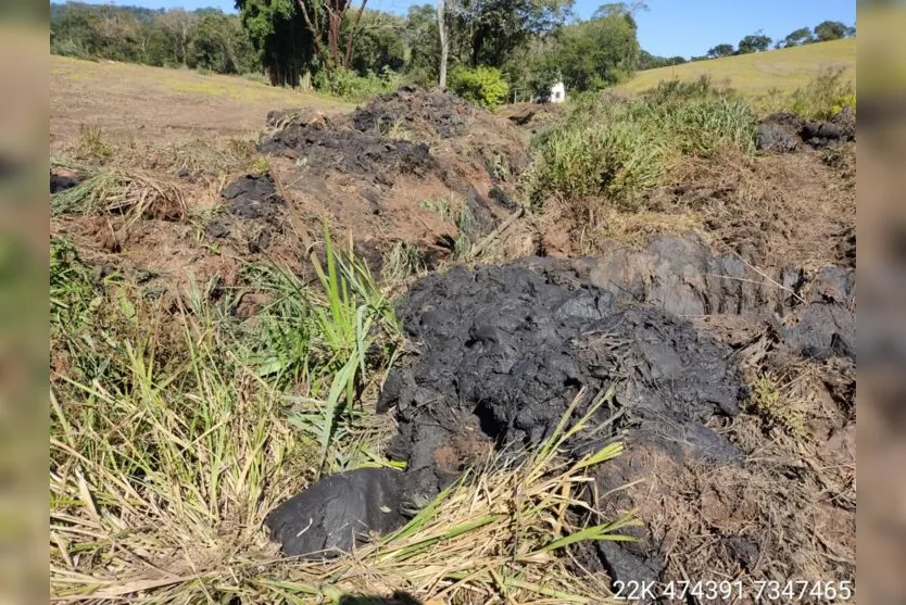 Polícia Ambiental multa proprietário rural em R$ 10 mil, em Faxinal