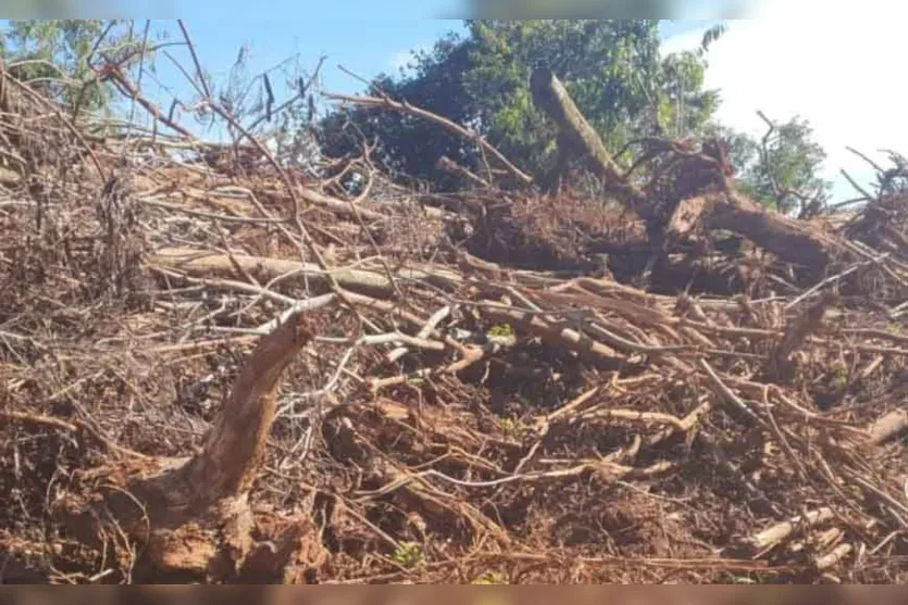  As  operações foram  Nova Esperança e em Salto do Lontra no sudoeste do Paraná 