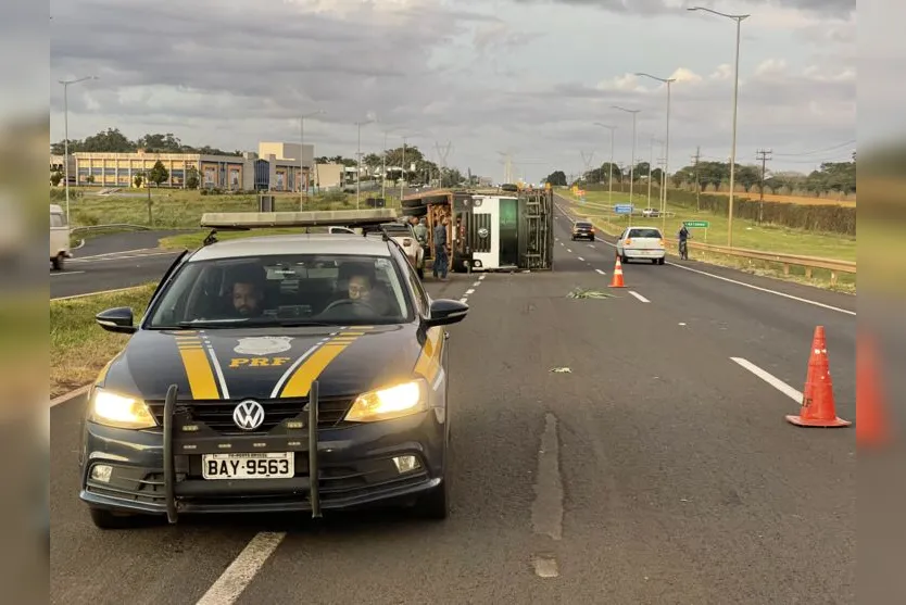 Caminhão carregado com frango tomba na BR-369 em Arapongas