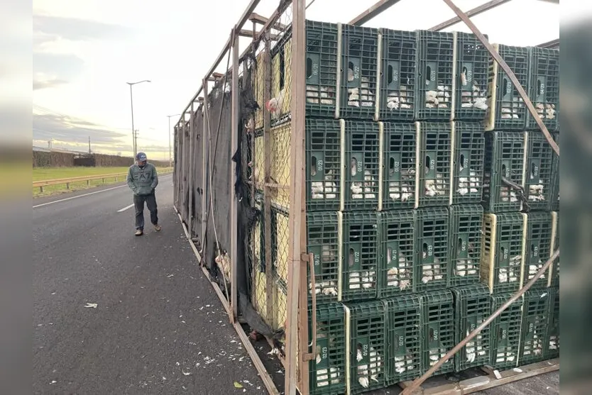 Caminhão carregado com frango tomba na BR-369 em Arapongas