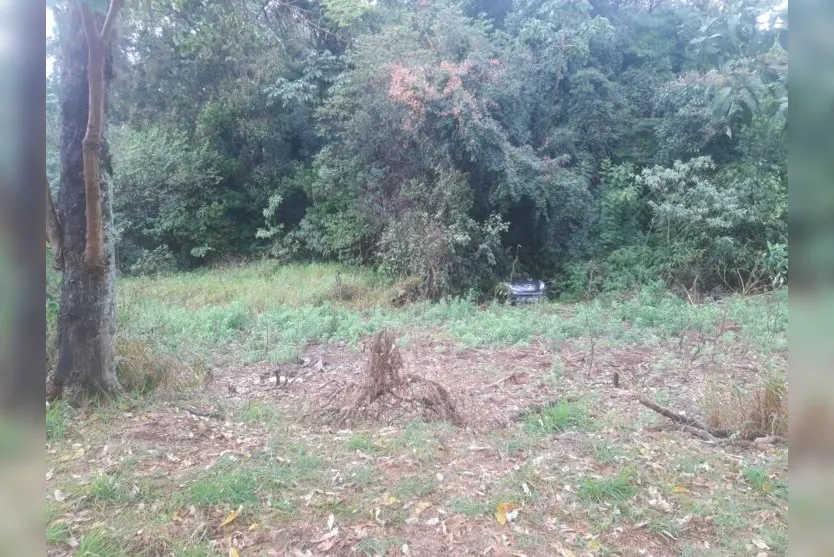 Carro desce a rua sem motorista e vai parar na mata do Parque Jaboti