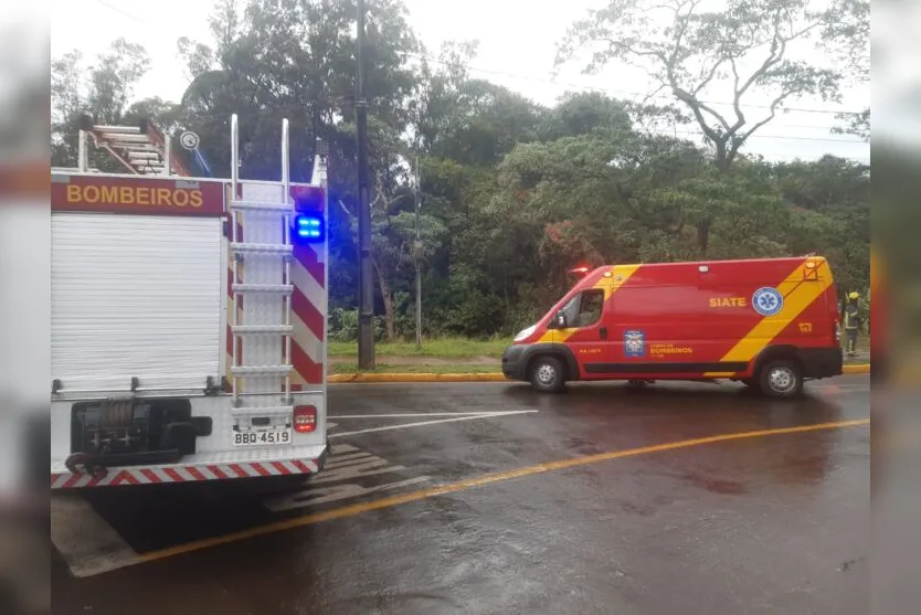 Carro desce a rua sem motorista e vai parar na mata do Parque Jaboti