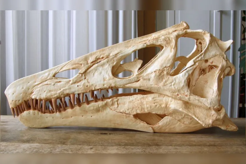  Crânio do Irritator Challengeri reconstruído e impresso em impressora 3D 