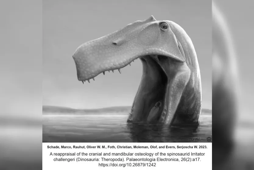 Imagem digital de como seria o dinossauro anfíbio Irritator challengeri 