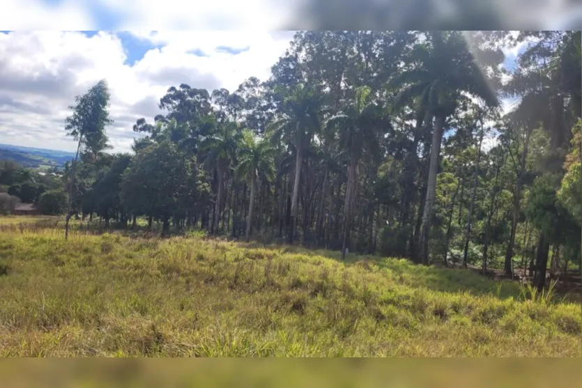  Local do antigo clube de campo em Apucarana: atuais proprietários não foram localizados 