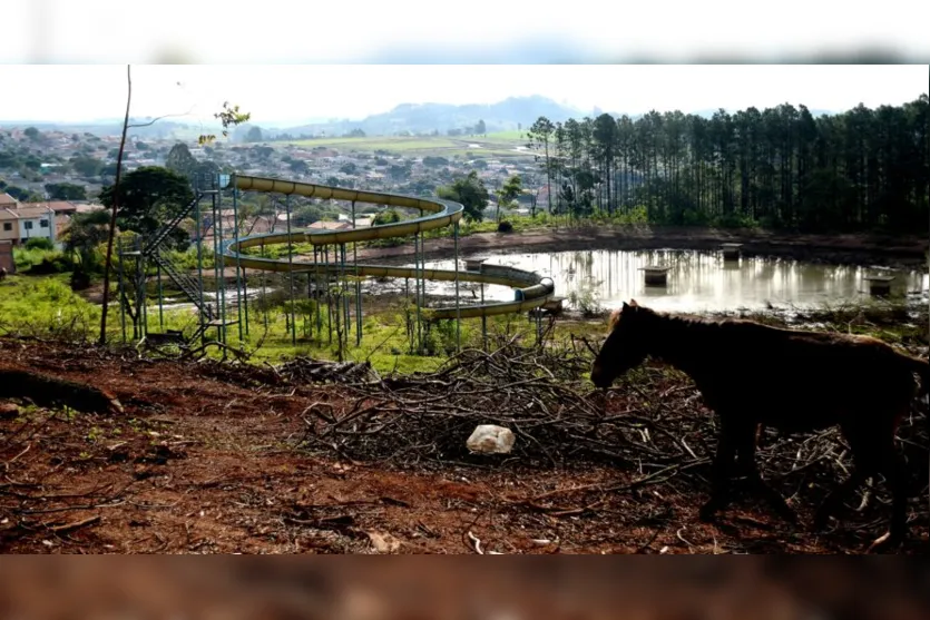  Parque está abandonado desde o início dos anos 2000 