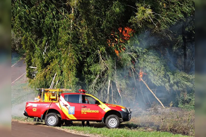  Apucarana registra, em média, mais um incêndio ambiental por dia 